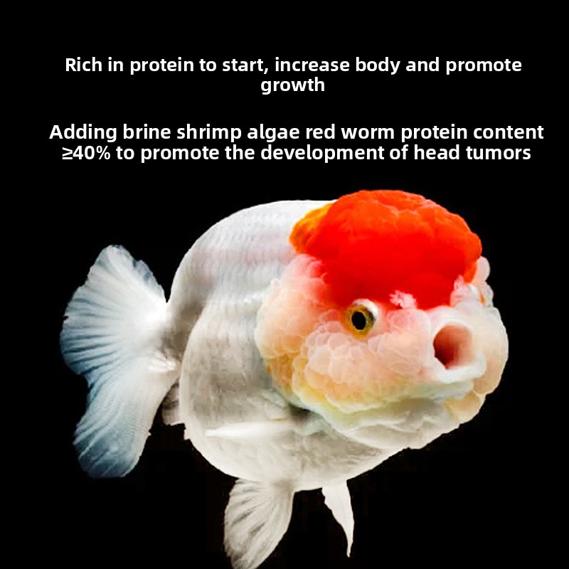 Makanan Ikan Bayi Tenggelam un - Baby Food With Protein ulasan dan harga