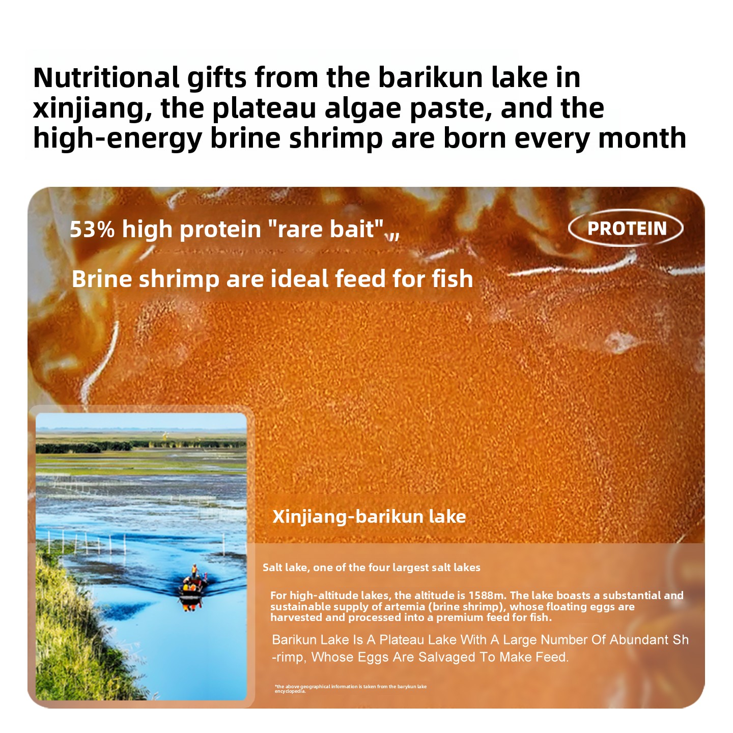SANKii Artemia Udang Air Asin  - Baby Food With Protein ulasan dan harga