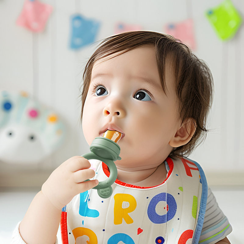 Dot Bayi Pengumpan Buah dengan - Baby Food Diet ulasan dan harga